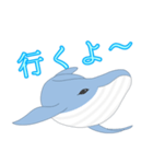 クジラ 日常（個別スタンプ：30）