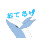 クジラ 日常（個別スタンプ：37）