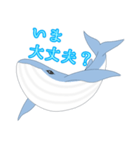 クジラ 日常（個別スタンプ：39）