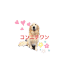 横手山ジョーンズJones（個別スタンプ：3）