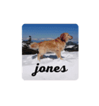 横手山ジョーンズJones（個別スタンプ：16）