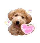 2020.com.gi（個別スタンプ：4）