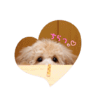 2020.com.gi（個別スタンプ：6）