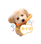 2020.com.gi（個別スタンプ：7）