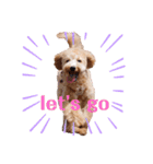 2020.com.gi（個別スタンプ：8）