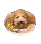 2020.com.gi（個別スタンプ：11）