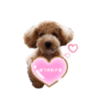 2020.com.gi（個別スタンプ：13）