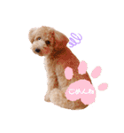 2020.com.gi（個別スタンプ：15）