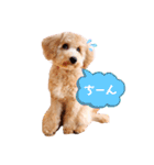2020.com.gi（個別スタンプ：16）