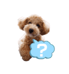 2020.com.gi（個別スタンプ：17）