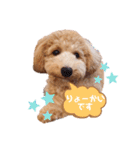 2020.com.gi（個別スタンプ：22）