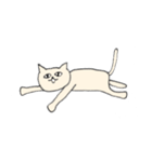 目力猫先輩（個別スタンプ：2）