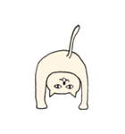 目力猫先輩（個別スタンプ：4）