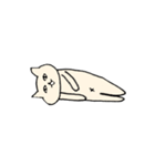 目力猫先輩（個別スタンプ：6）