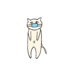 目力猫先輩（個別スタンプ：7）