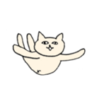 目力猫先輩（個別スタンプ：9）