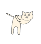 目力猫先輩（個別スタンプ：10）