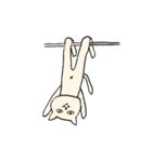 目力猫先輩（個別スタンプ：15）