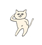 目力猫先輩（個別スタンプ：18）