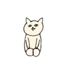 目力猫先輩（個別スタンプ：24）