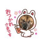 小梅のほのぼのボケーな日常4（個別スタンプ：4）