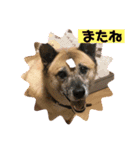 小梅のほのぼのボケーな日常4（個別スタンプ：5）