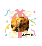 小梅のほのぼのボケーな日常4（個別スタンプ：7）
