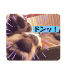 小梅のほのぼのボケーな日常4（個別スタンプ：8）