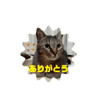 なののあのスタンプ。3（個別スタンプ：2）