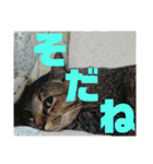 なののあのスタンプ。3（個別スタンプ：12）