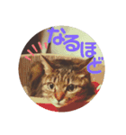 なののあのスタンプ。3（個別スタンプ：16）
