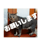 なののあのスタンプ。3（個別スタンプ：19）