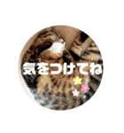 なののあのスタンプ。3（個別スタンプ：29）