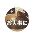 なののあのスタンプ。3（個別スタンプ：37）