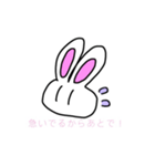 ともだちうさぎのしろちゃん（個別スタンプ：8）
