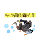 心縁6❤️（個別スタンプ：40）