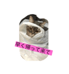 Zeroの毎日一緒に（個別スタンプ：2）