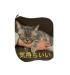 Zeroの毎日一緒に（個別スタンプ：7）