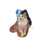 あさおうコミュニケーションダーーーー（個別スタンプ：7）