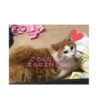 あさおうコミュニケーションダーーーー（個別スタンプ：9）