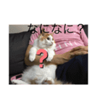 あさおうコミュニケーションダーーーー（個別スタンプ：14）