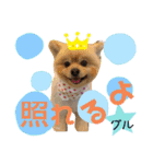 ポメポメちゃん仲間達❶ 2020（個別スタンプ：8）