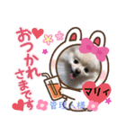 ポメポメちゃん仲間達❶ 2020（個別スタンプ：17）