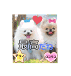 ポメポメちゃん仲間達❶ 2020（個別スタンプ：18）