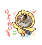 レオの思い出（個別スタンプ：2）