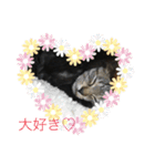 ごまむぎ2（個別スタンプ：7）