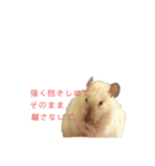 4匹のねずみくん（個別スタンプ：1）