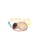 4匹のねずみくん（個別スタンプ：3）