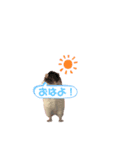 4匹のねずみくん（個別スタンプ：4）