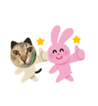みるく。（個別スタンプ：6）